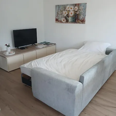 Apartmaji Pri Pinku Apartma Breginj