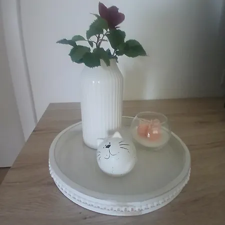 Apartma Apartmaji Pri Pinku Breginj